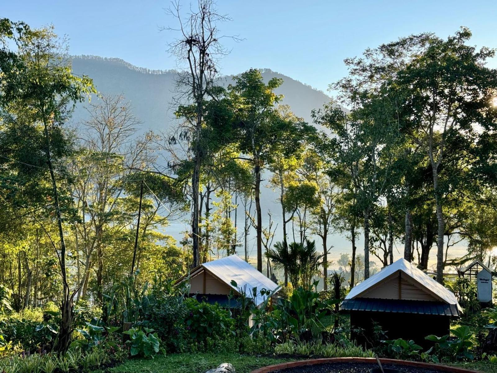 Green Lava Lake View Glamping Bedugul Bedugul  Exterior foto